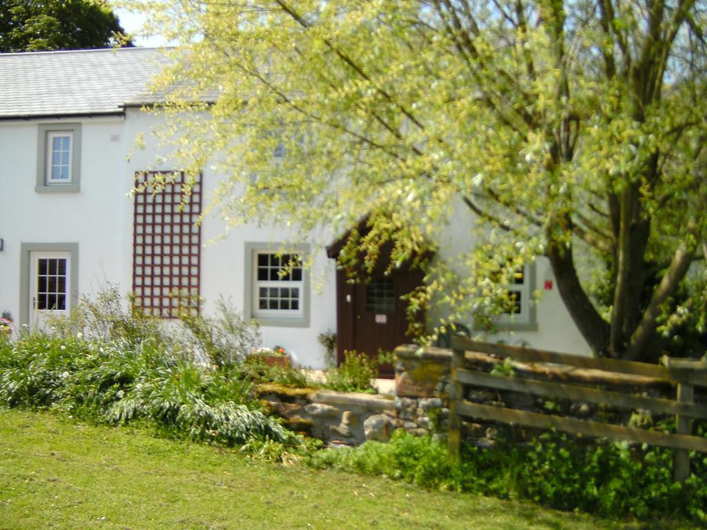 Wallace Lane Farm Westward Luaran gambar