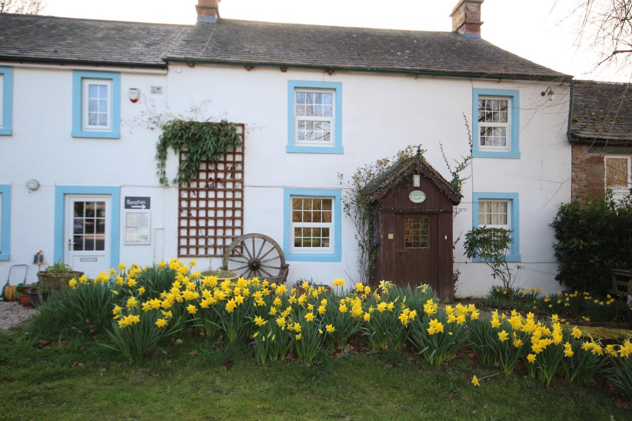 Wallace Lane Farm Westward Luaran gambar